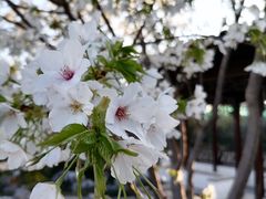 -相门城墙文化休闲景区