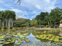 -中国科学院西双版纳热带植物园