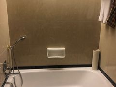 -成都天府丽都喜来登饭店