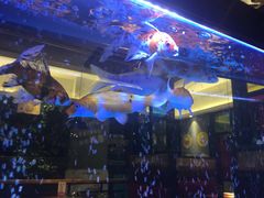 -一品渝香·好吖好鸭时尚干锅鸭头(乐汇城店)