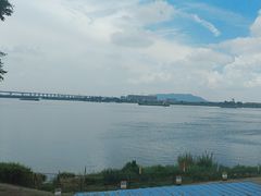 -八仔大富楼·河鲜(西江店)