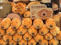 -首开·龙湖成都西宸天街