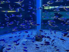 -海合安成都极地海洋公园