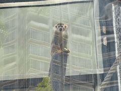 -石排湾郊野公园