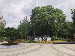 -雲记卢妈冷锅串串(中道街总店)