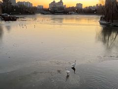 -迎泽公园