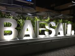 -813芭依珊 BAESAn(皇冠十畝地店)