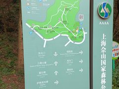 -上海佘山国家森林公园天马山园