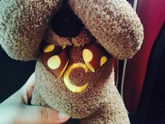 -济州岛泰迪熊博物馆