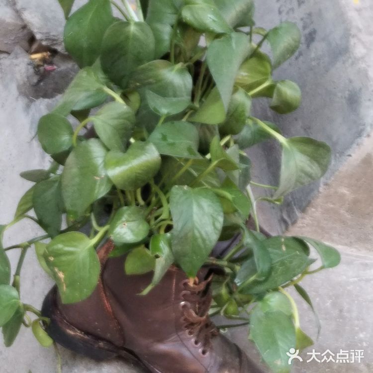 车市巷，一条贯穿人民路与中山路的小巷，一条曾经买卖拉