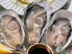 -普朗姆生蚝吧(原建国路店)
