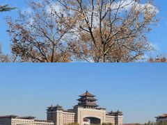 -莲花池公园