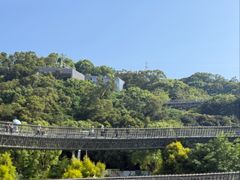-福道