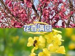 -南北湖风景区