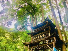 门面-青城山