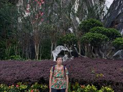 -星湖旅游景区七星岩