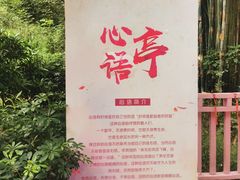 -广州市流溪河国家森林公园