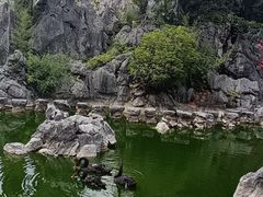 -千岛湖石林