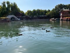 -皇家御河游(紫御湾码头)