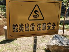-白水寺森林公园