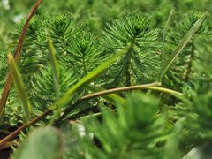 -云漫湖生态度假公园