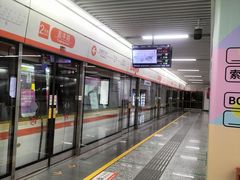 -盈丰路(地铁站)