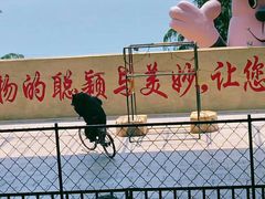 -东方熊牧场