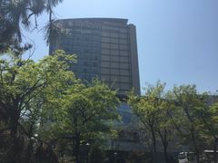 -青岛海尔洲际酒店