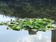 -前关湿地公园
