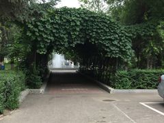-黑龙江中医药大学