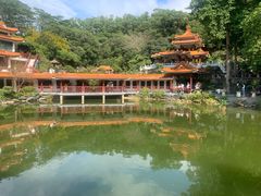 -深圳仙湖植物园
