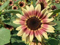 -奥林匹克森林公园北园-停车场