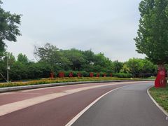 -武清南湖绿博园