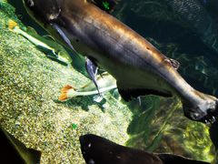 -太平洋海底世界