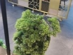 -宏宴·新京菜(望京店)