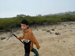 -红树林天天赶海