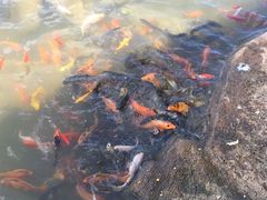 IMG_0115-沈阳植物园