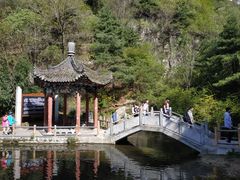 -王顺山国家森林公园