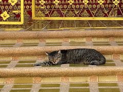 -帕辛寺