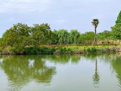 -白塔湖国家湿地公园