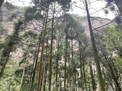 -雁荡山风景名胜区