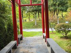 -月湖风景区