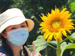 -武汉紫薇都市田园