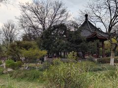 -堤角公园