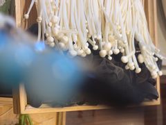 -蝎王府羊蝎子(虎坊桥总店)
