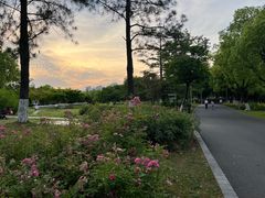 -白塘生态植物园