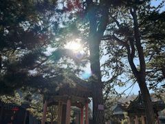 -五台山风景名胜区