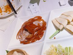 -梧桐