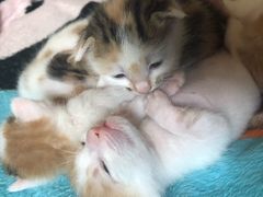 -马王堆海鲜水产市场