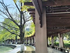 -四川大学(华西校区)